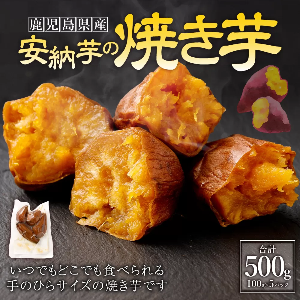 【鹿児島県 種子島産】安納芋 の 焼き芋 合計500g（100g×5パック） 芋 焼きいも おいも いも ZS-779