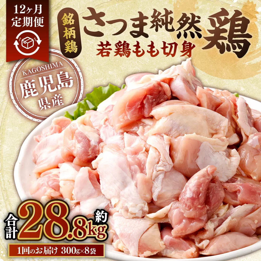 【12回定期便】鹿児島県産銘柄鶏・さつま純然鶏 若鶏もも切身（300g×8パック×12回 合計28.8kg）もも肉 若どり JS-235
