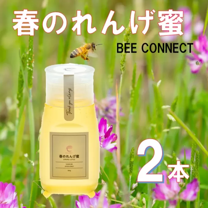 春のれんげ蜜 2本 セット 合計600g (300g×2本) 鹿児島 はちみつ 蜂蜜 れんげ蜜  鹿児島県産 薩摩川内市 ふるさと納税 AS-8108