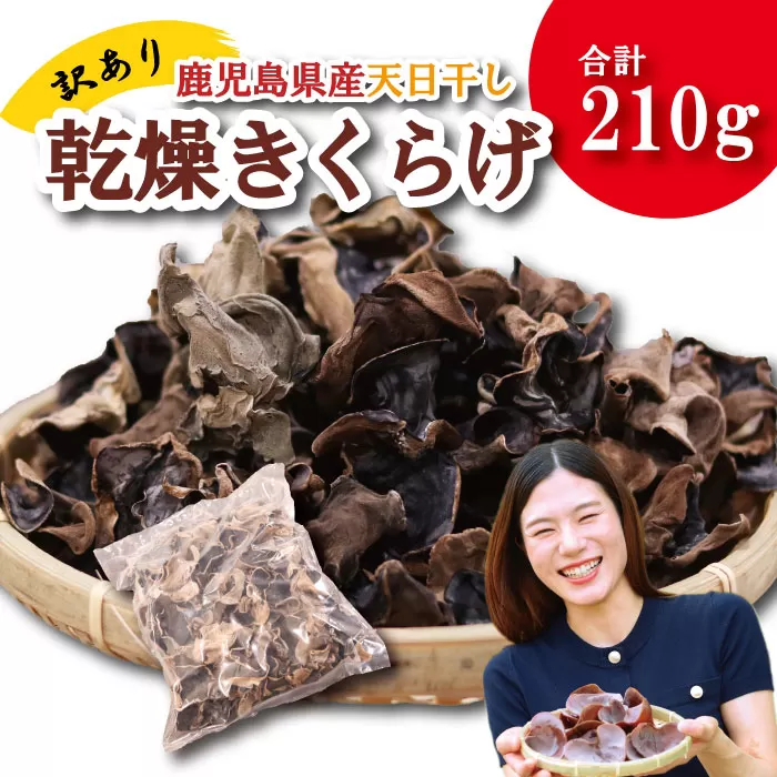 ＼"訳アリ”／鹿児島県産天日干し乾燥きくらげ 合計210g 国産 訳あり 訳アリ 業務用 乾燥きくらげ 野菜 きのこ 健康 食物繊維 低カロリー エムズ わか農園 サラダ みそ汁 スープ 炒め物 煮物 和え物 鹿児島県 薩摩川内市 送料無料 ZS-785