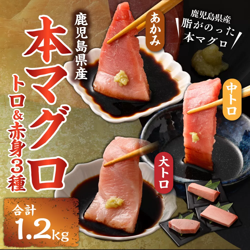 HSR-111 鹿児島県産本マグロ トロ＆赤身 3種セット 合計1.2kg 本マグロ トロ 赤身 マグロ 魚  刺身 刺し身