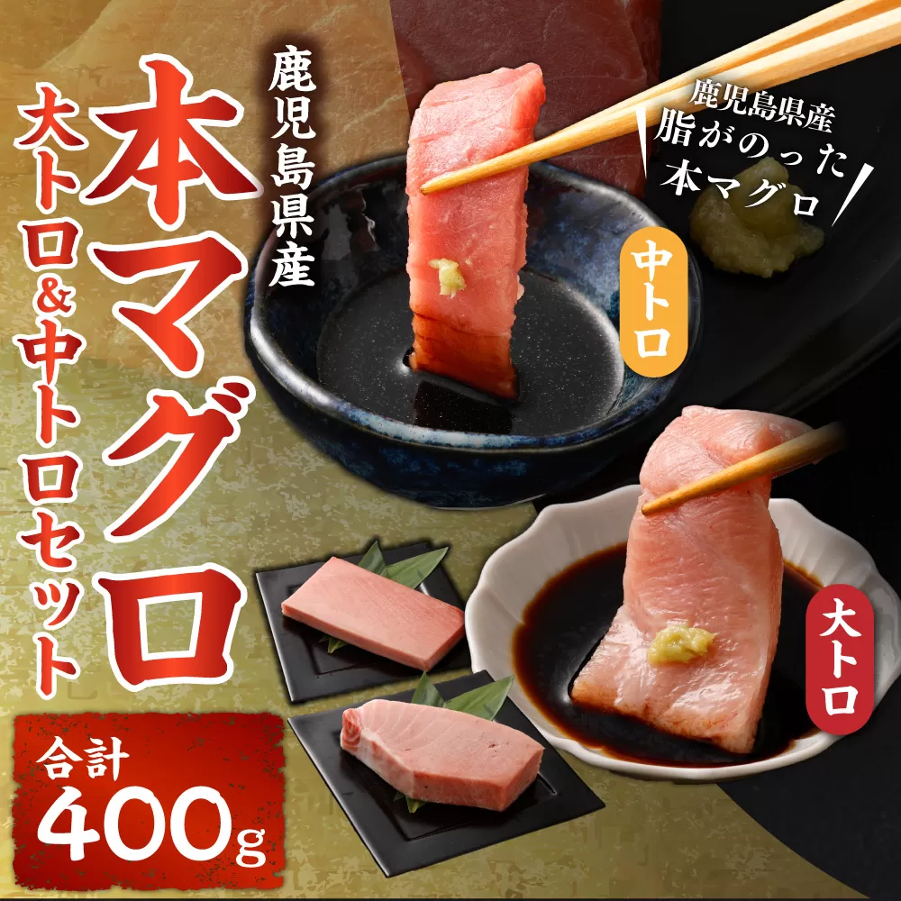 CS-223 鹿児島県産本マグロ 大トロ＆中トロセット 合計400g 本マグロ マグロ 大トロ 中トロ セット  刺身 刺し身