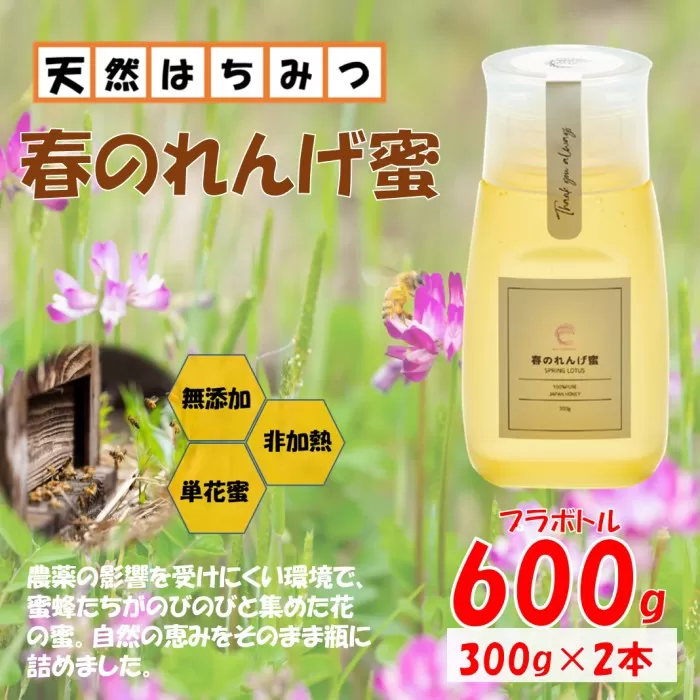 春のれんげ蜜 2本 セット 合計600g (300g×2本) 鹿児島 はちみつ 蜂蜜 れんげ蜜  鹿児島県産 薩摩川内市 ふるさと納税 AS-8108