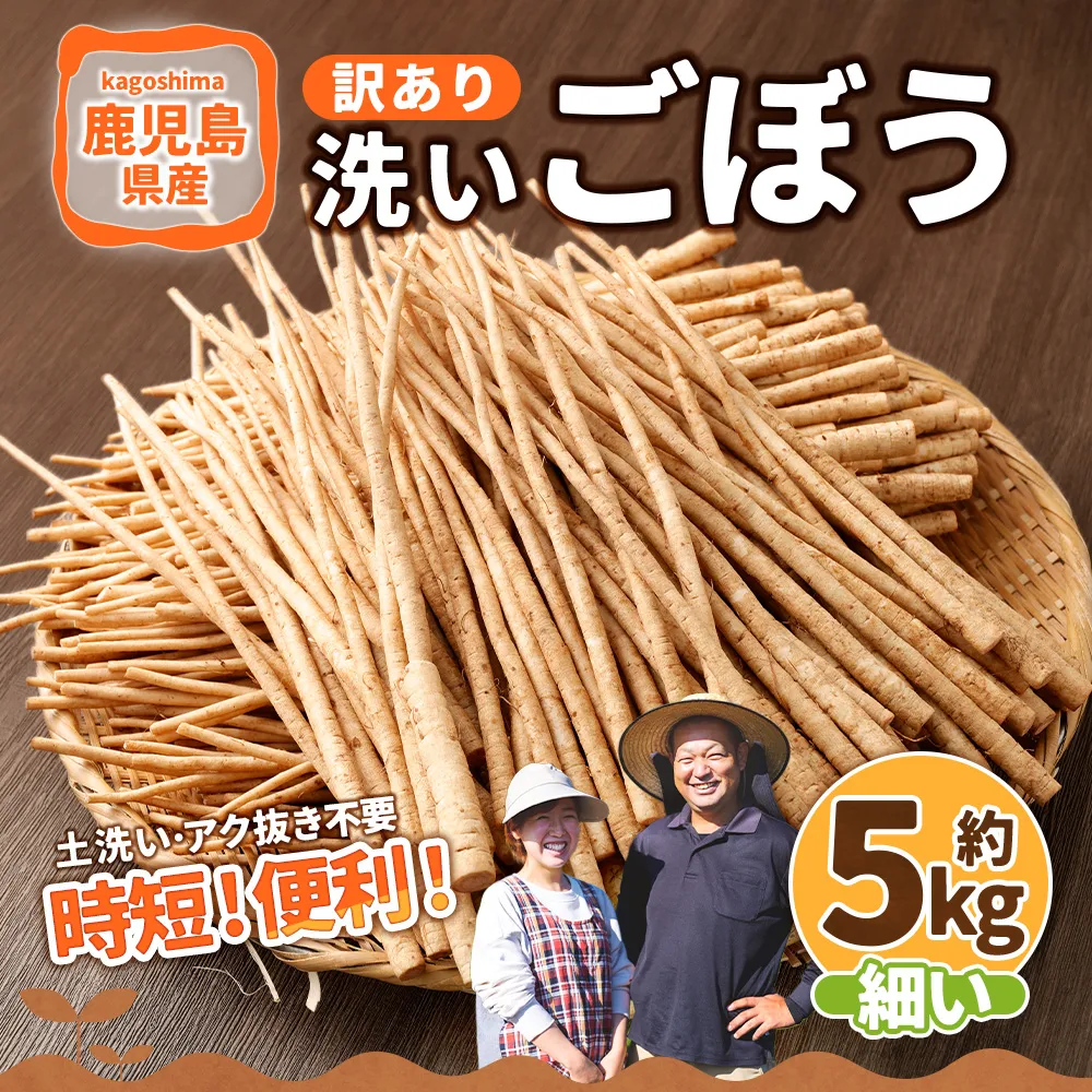 鹿児島県産 洗い【細い】 ごぼう 約5kg 【規格外・訳あり品】【2026年12月上旬-3月下旬発送予定】 AS-4116