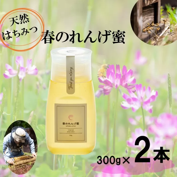 春のれんげ蜜 2本 セット 合計600g (300g×2本) 鹿児島 はちみつ 蜂蜜 れんげ蜜  鹿児島県産 薩摩川内市 ふるさと納税 AS-8108
