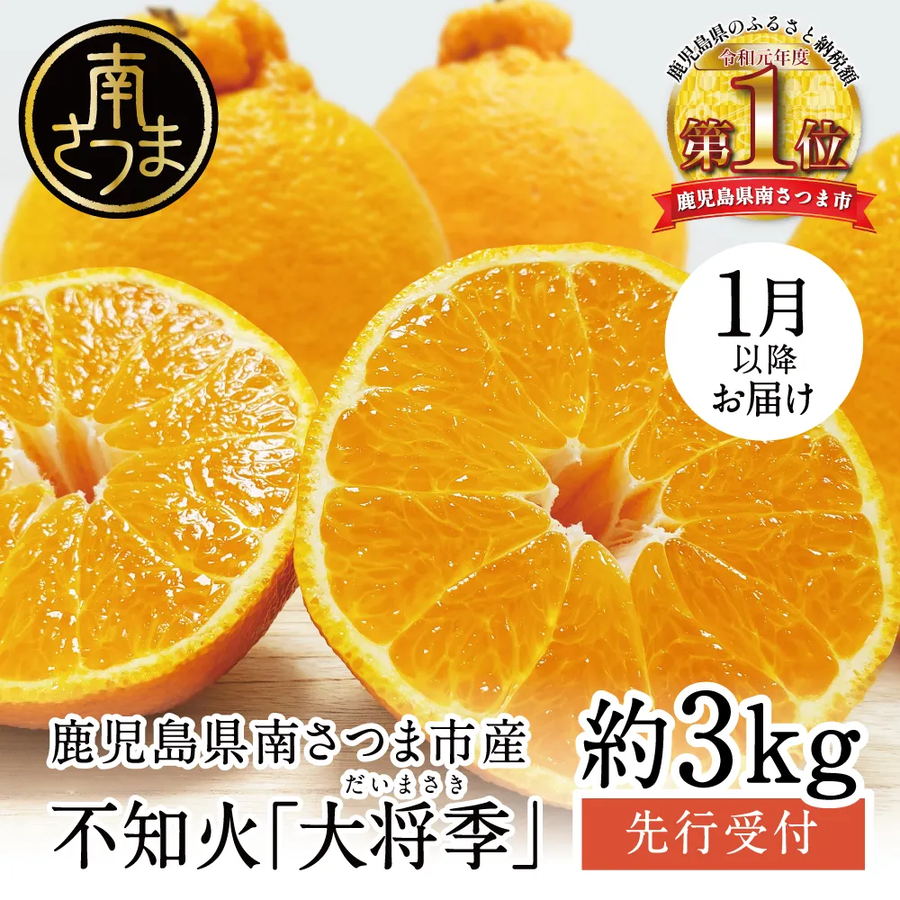 【2027年1月～3月発送】数量限定！不知火「大将季」（だいまさき）約3kg 果物 フルーツ 柑橘 みかん しらぬい 鹿児島県産 ブランド 常温 JA 南さつま市