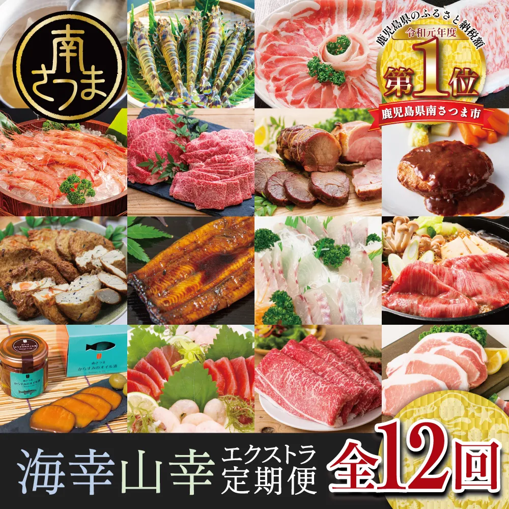 【定期便】海幸山幸 エクストラ厳選 定期便（全12回） 南さつま市 お肉 お魚 豚肉 牛肉 黒豚  鹿児島黒牛 すき焼き サーロイン ステーキ しゃぶしゃぶ 角煮 鰻 蒲焼 刺身用 たかえび 薩摩甘えび 海老 マグロ さつま揚げ 焼豚 ハム レトルト ハンバーグ 出汁 鰹節