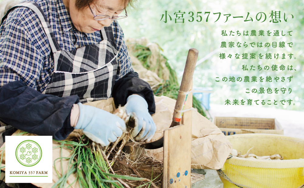 鹿児島県産 土付きらっきょう 約10キロ e 荒かっ