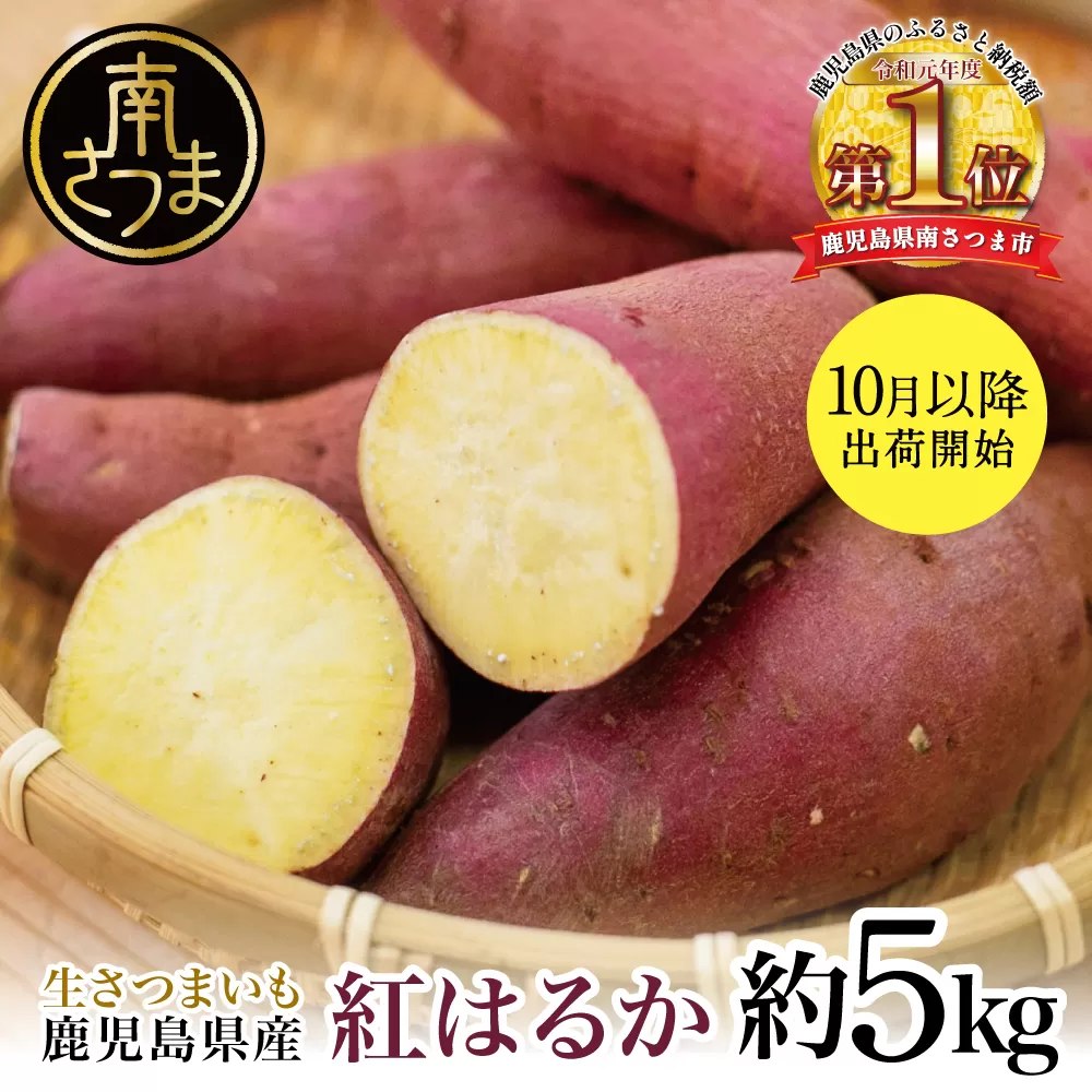 ★10月発送開始★ 鹿児島県産生さつまいも 「紅はるか」約5kg 先行受付 さつまいも 焼き芋 さつま芋 甘藷 サツマイモ べにはるか スイーツ JA 南さつま市