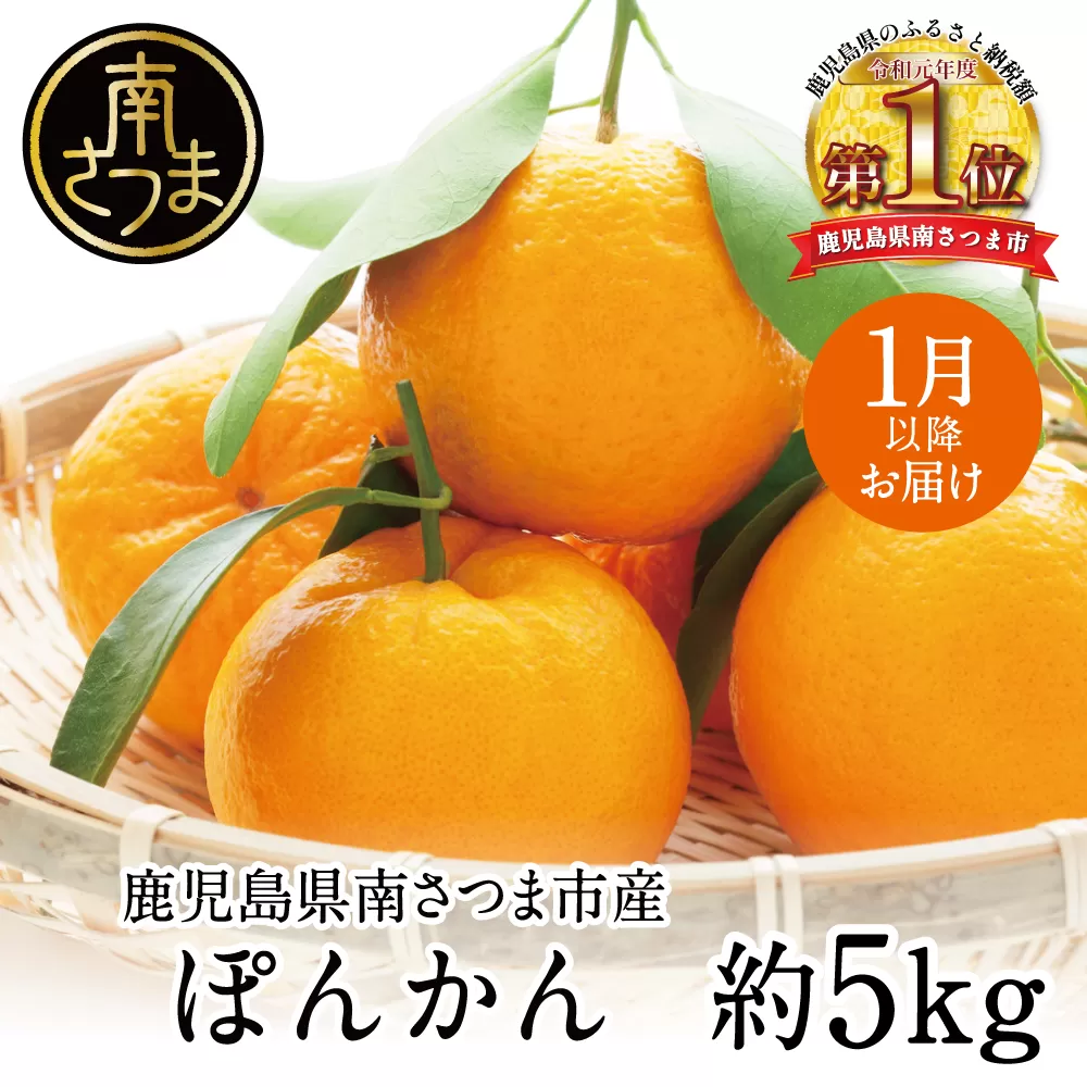 【1月発送】数量限定！ 鹿児島県産 ぽんかん 約5kg ポンカン 果物 フルーツ 柑橘 常温 JA 南さつま市