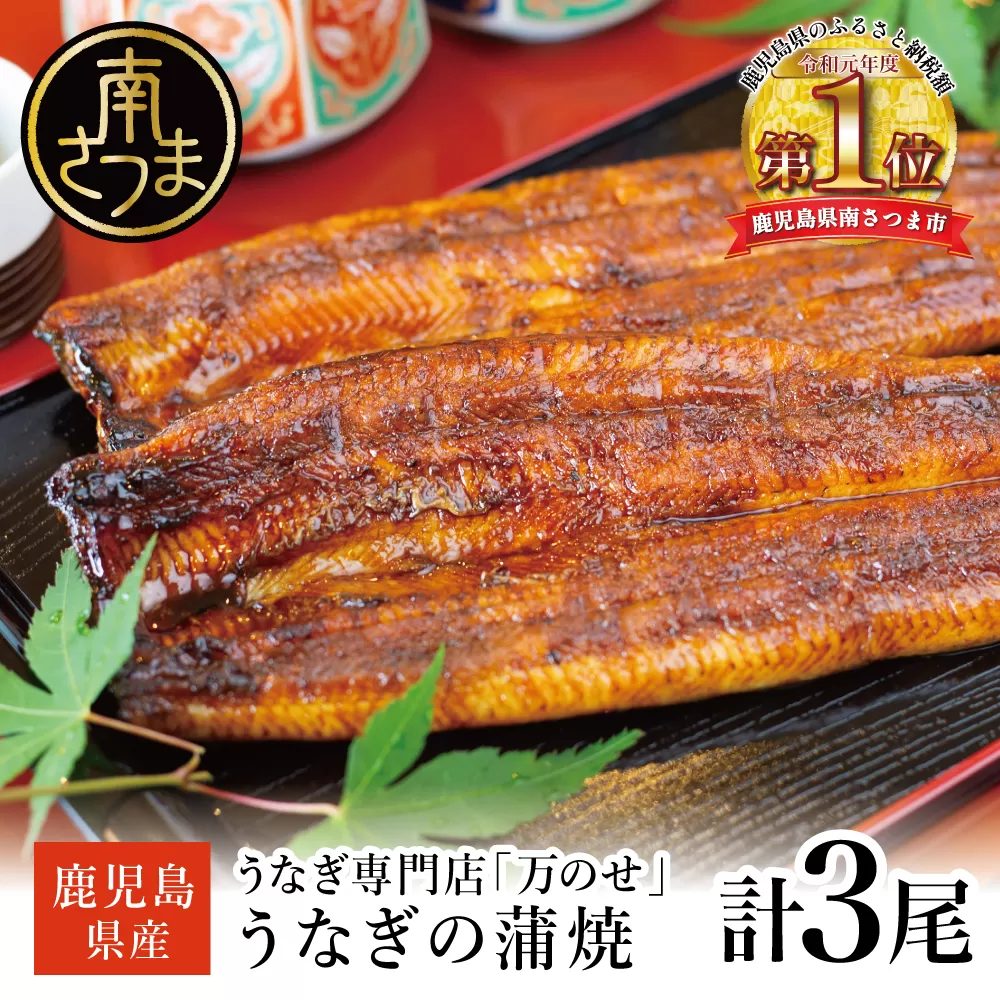 鹿児島県産 うなぎ蒲焼 3尾 セット うなぎ専門店「万のせ」ジューシー スタミナ ウナギ 鰻 蒲焼き 国産 ギフト うな重 たれ ひつまぶし 山椒 冷凍 簡単調理 贈り物 お取り寄せグルメ 冷凍 鹿児島県 南さつま市