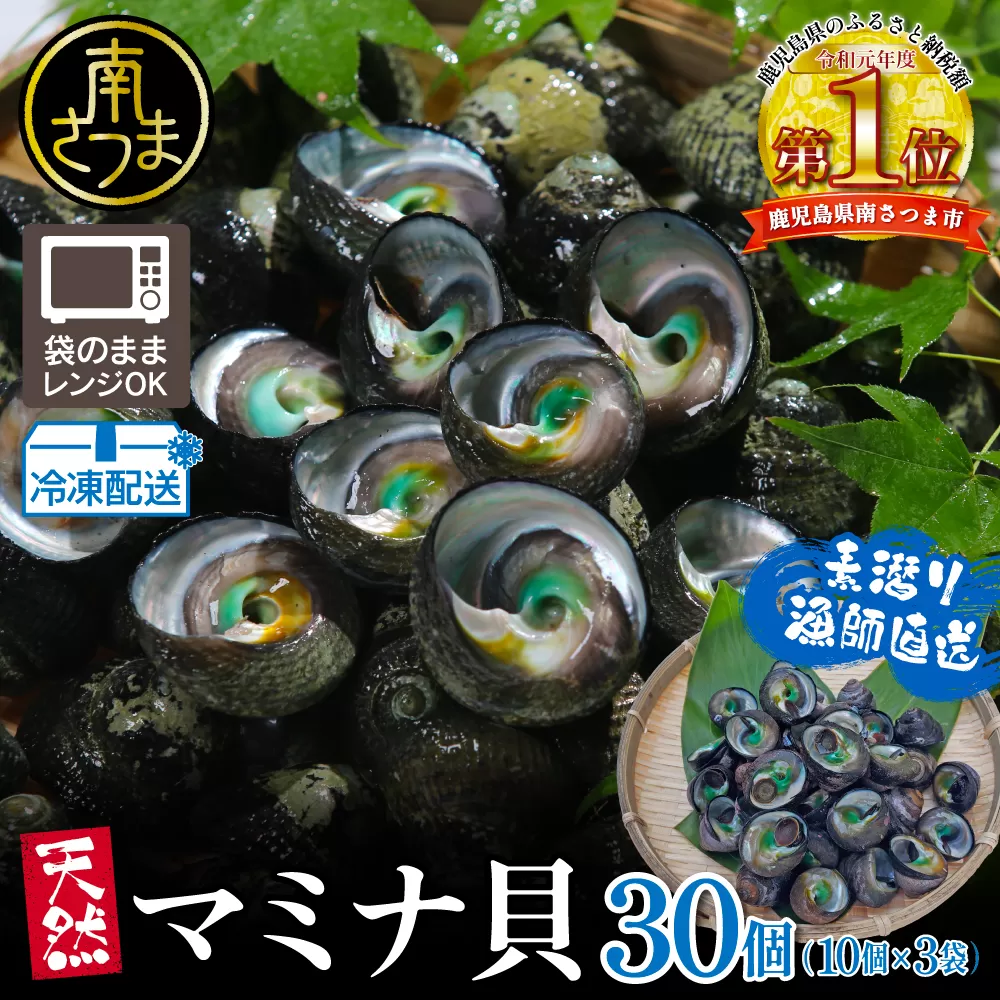 【素潜り漁師直送】【袋に入った冷凍のままでレンジ対応】【南さつま市 笠沙産 天然マミナ貝】シッタカ クボガイ 海産物 魚介類 鹿児島県 南さつま市 隆康産業