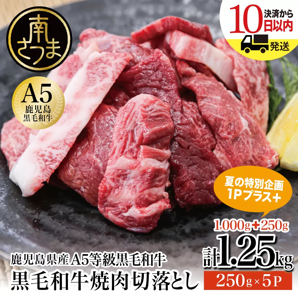 ★最短発送★鹿児島県産 A5等級 黒毛和牛 焼肉 切り落とし 計1.25kg（250g×5P）【数量限定・期間限定：8月31日まで！】 夏の生活応援 特別企画 国産牛 牛肉 国産 焼き肉 カミチク 切落し おまかせ BBQ バーベキュー 小分けパック 冷凍 南さつま市