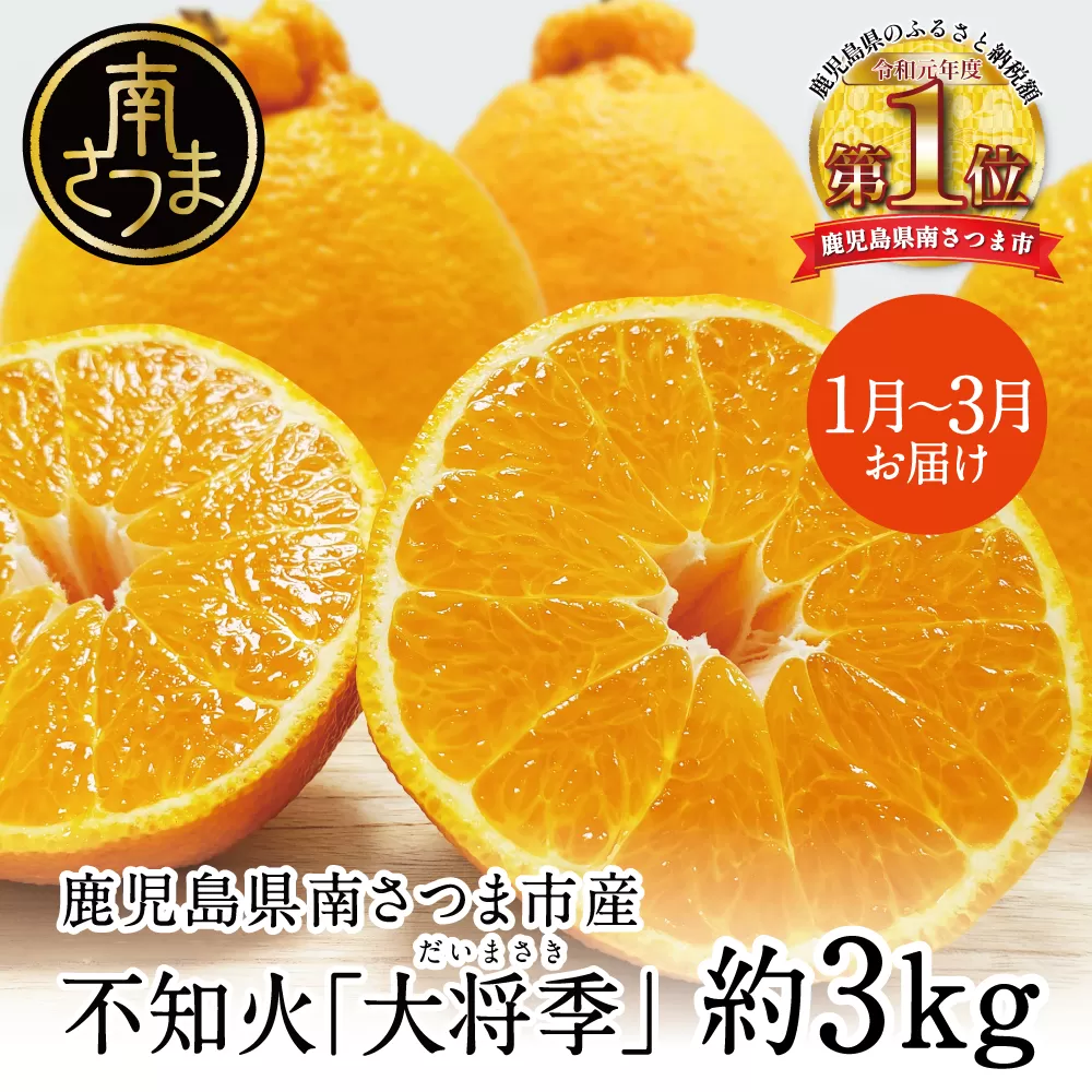【2月〜3月発送】鹿児島県産 不知火「大将季」（だいまさき）約3kg 果物 フルーツ 柑橘 みかん しらぬい ブランド 常温 JA 南さつま市
