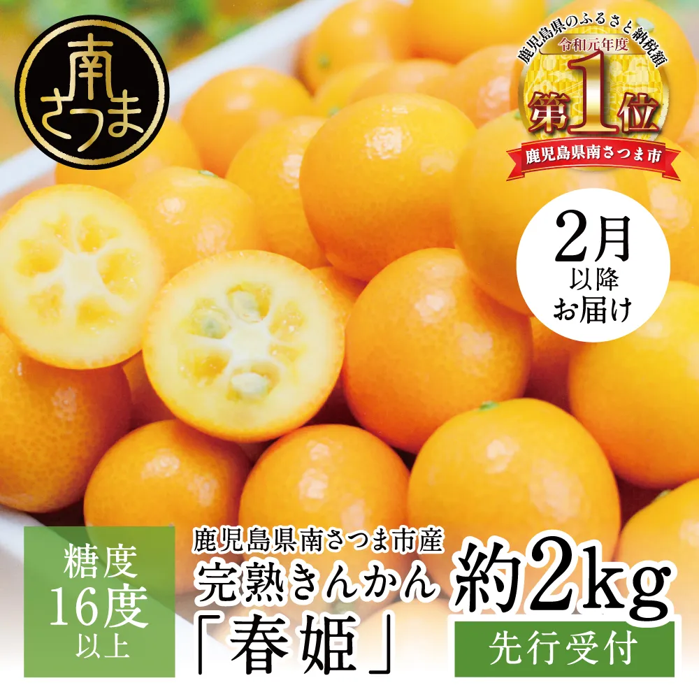【2027年2月発送開始】きんかん「春姫」 約2kg 鹿児島県産 ブランド 金柑 果物 フルーツ 柑橘 常温 JA 南さつま市