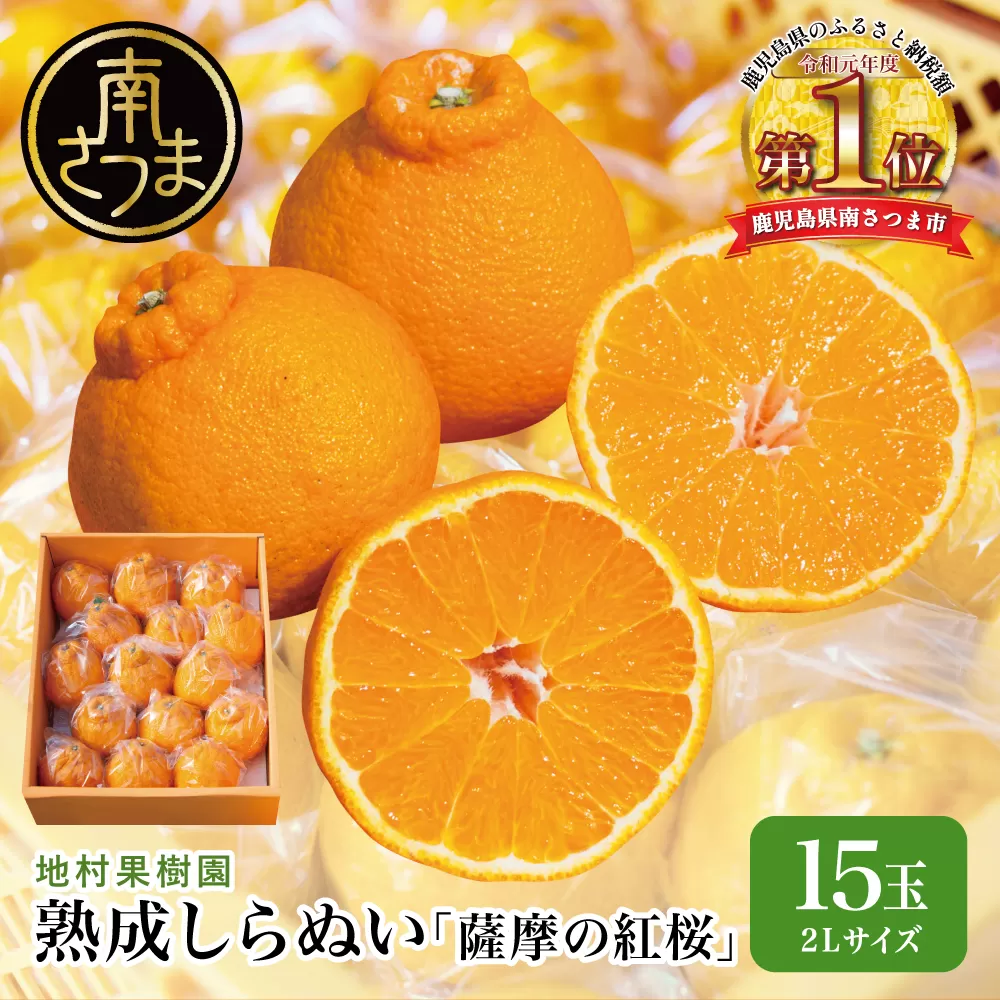 【至高の熟成柑橘】「薩摩の紅桜（不知火）」2Lサイズ15玉 果物 フルーツ 熟成 柑橘 長期貯蔵 しらぬい 不知火 鹿児島 南さつま市