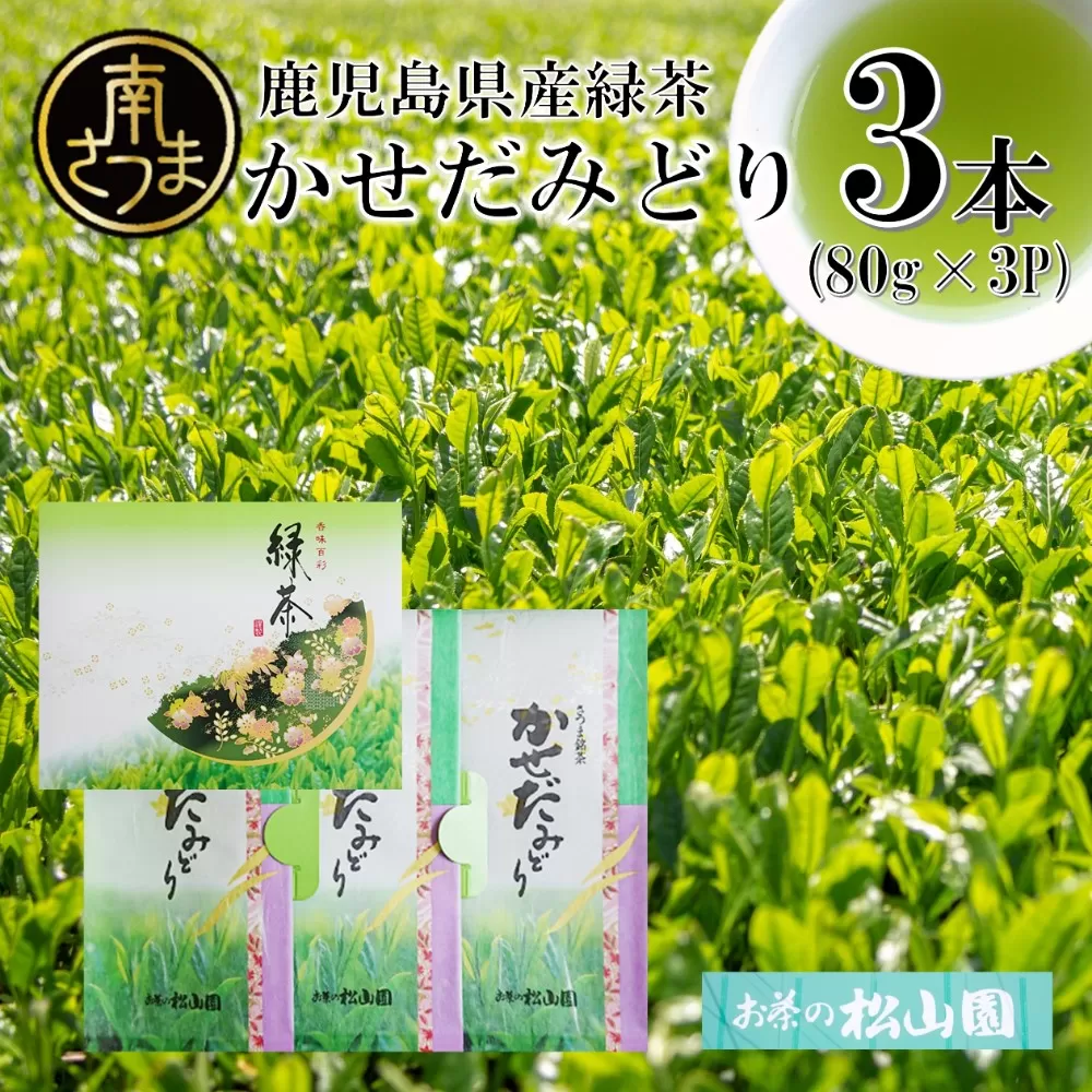 【鹿児島県産緑茶】★2025年新茶★ かせだみどり（80g×3） ギフト 贈答 鹿児島県産 かごしま お茶 日本茶 緑茶 茶葉 南さつま市 お茶の松山園