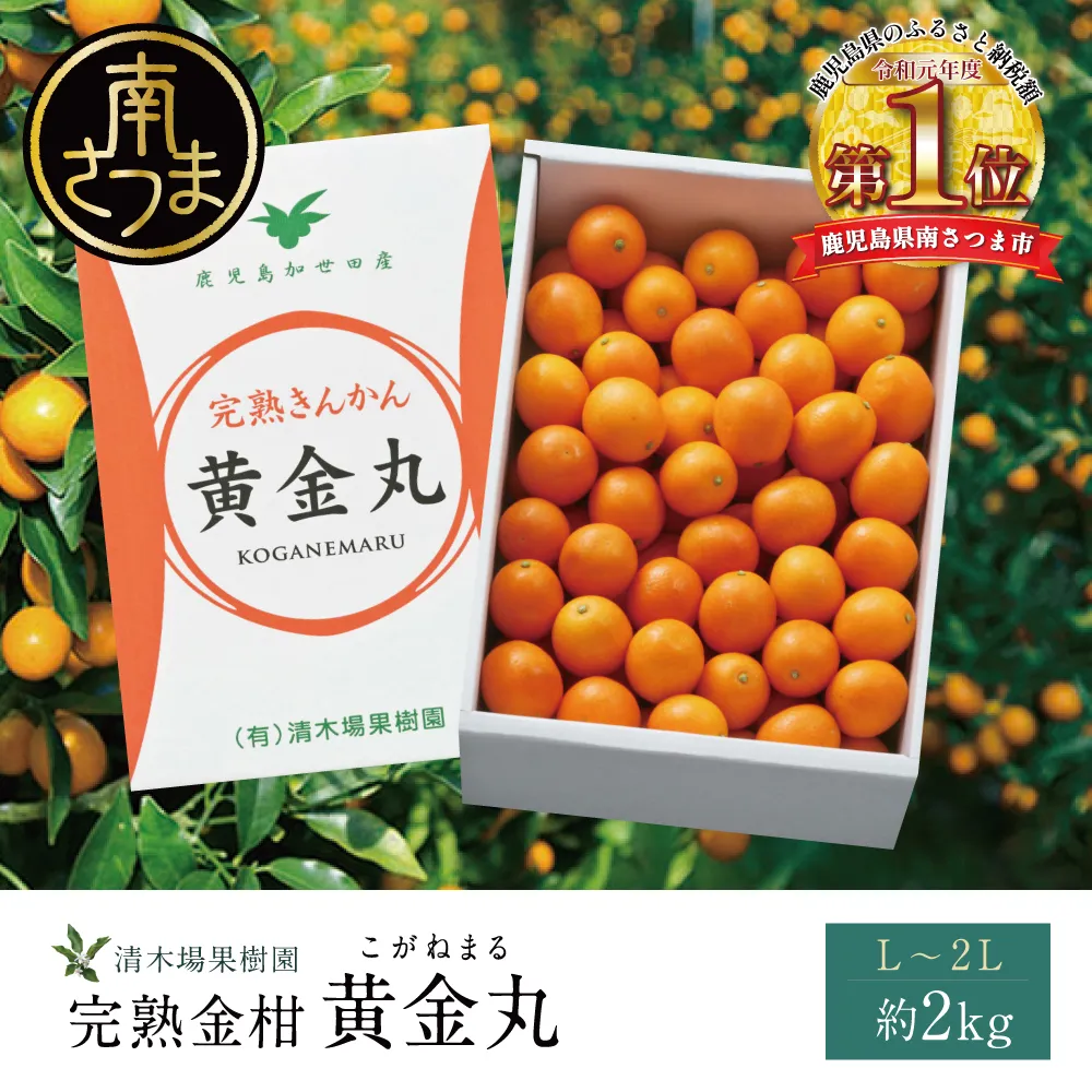 ＜2月～3月末発送＞完熟金柑 黄金丸 約2kg（L～2L） 柑橘 フルーツ 果物 きんかん 鹿児島県産 先行受付