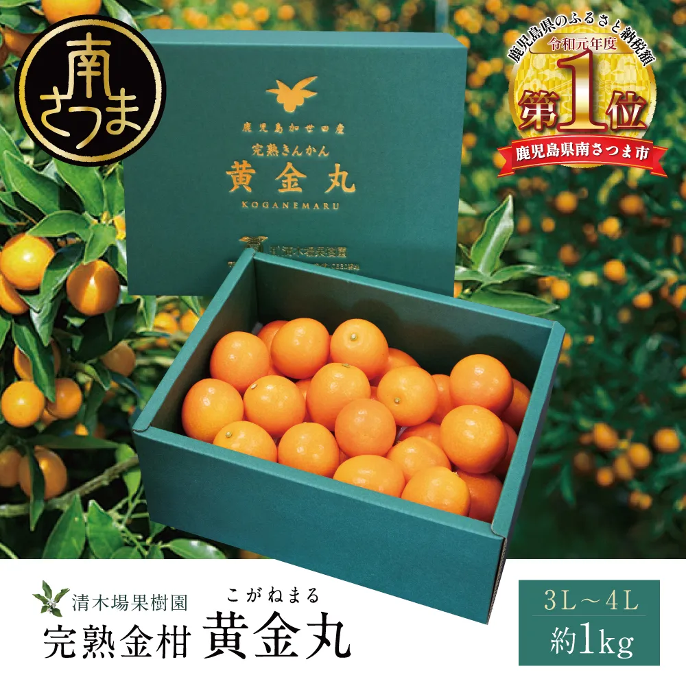 ＜2月～3月末発送＞完熟金柑 黄金丸 約1kg（3L～4L） 柑橘 フルーツ 果物 きんかん 鹿児島県産 先行受付