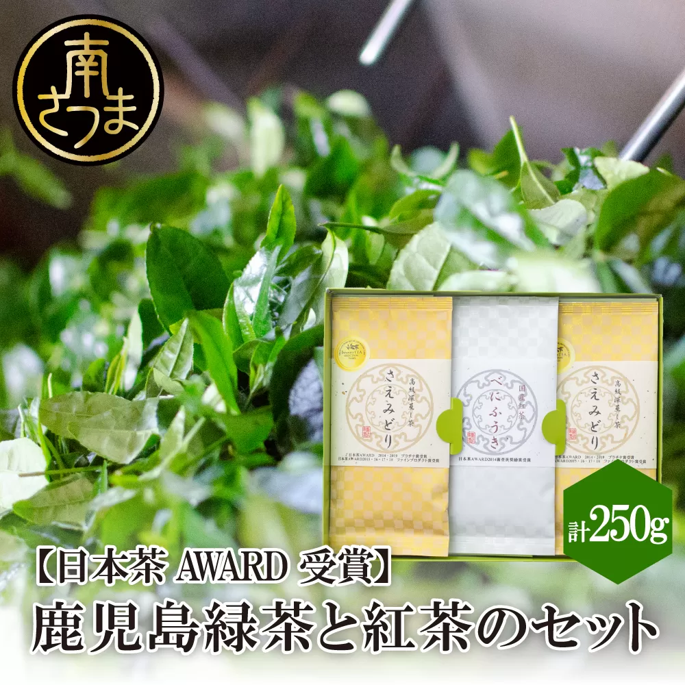 【日本茶AWARD受賞】鹿児島緑茶と紅茶のセット（計250g） 鹿児島県産 かごしま お茶 日本茶 緑茶 紅茶 茶葉 南さつま市 小牧緑峰園