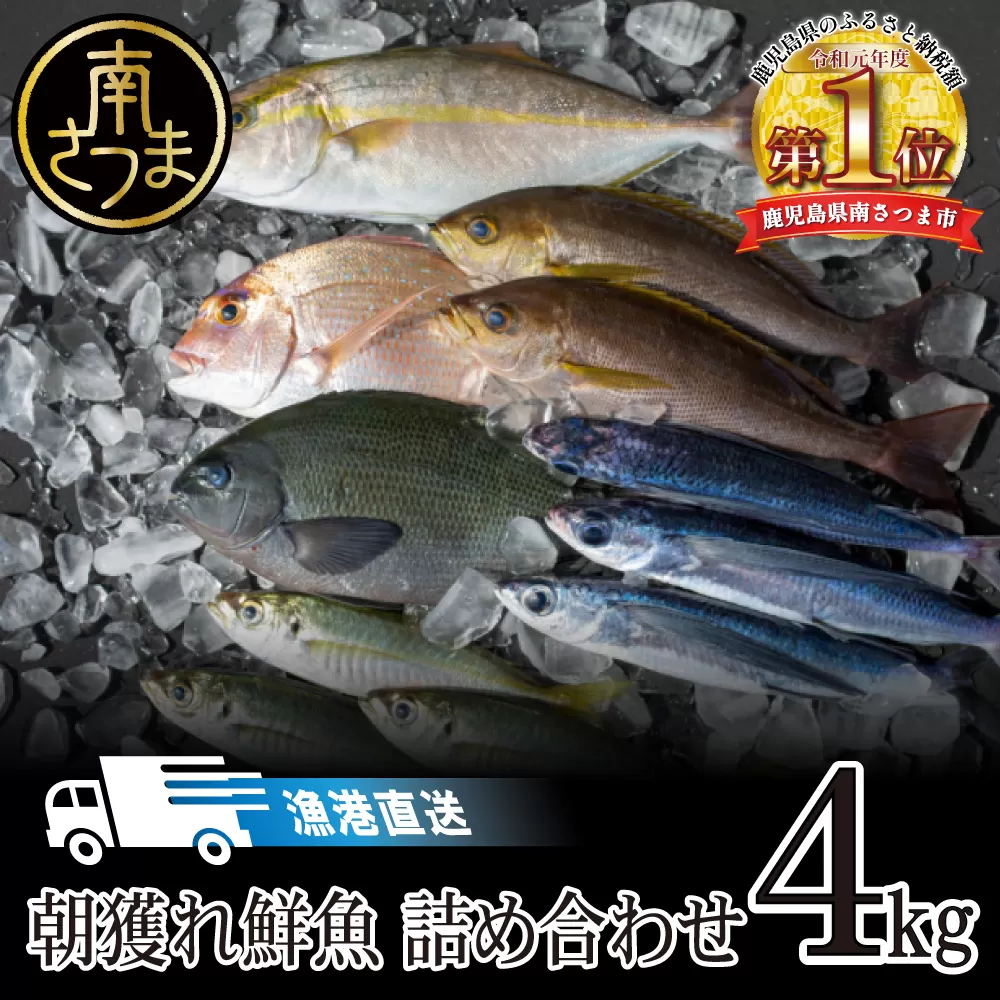【漁港直送】朝獲れ鮮魚 詰め合わせ 4kg 南さつま市