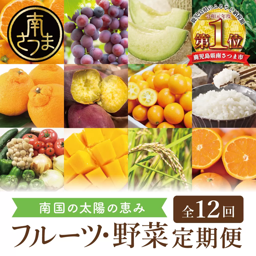 【定期便】南国の恵み 旬のフルーツ・野菜定期便（全12回） 鹿児島県産 果物 フルーツ 柑橘 野菜 お茶 米 コシヒカリ ぶどう 巨峰 マンゴー メロン 定期便 南さつま市