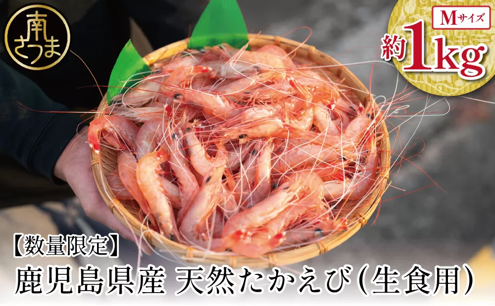 【数量限定】鹿児島県産 天然たかえび（生食用） 約1kg ［Mサイズ］ 薩摩甘エビ ヒゲナガエビ 刺身 海鮮 海老 海鮮丼 塩焼き 冷凍 丸航丸 南さつま市 野間池