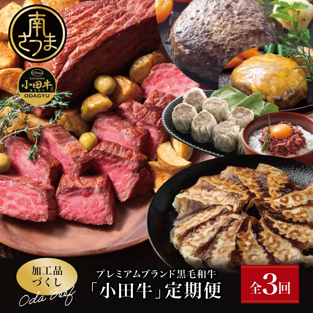 【全3回】プレミアムブランド「小田牛」定期便［加工品づくし］ 鹿児島県産 黒毛和牛 ハンバーグ コンビーフ ローストビーフ 餃子 焼売 総菜 おかず レトルト 冷凍 小田畜産 南さつま市