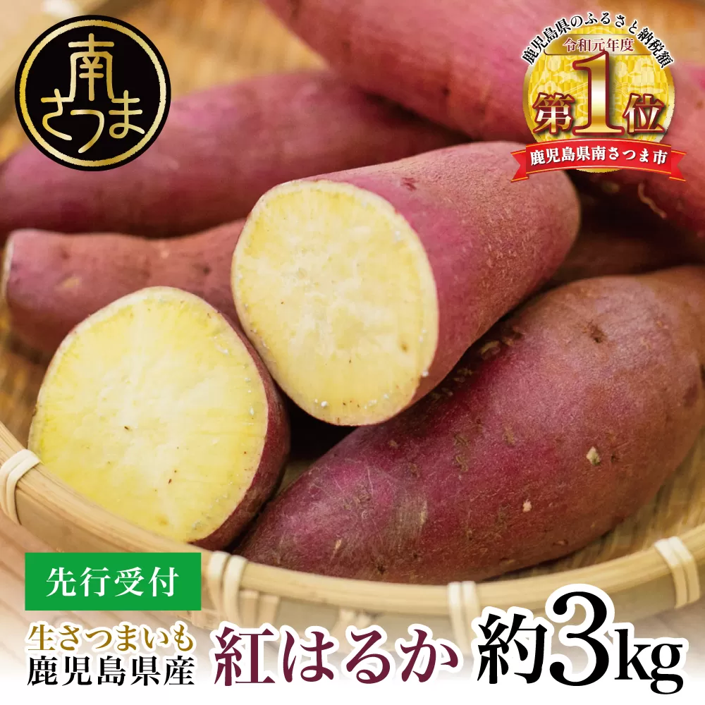 【鹿児島県産】生さつまいも「紅はるか」約3kg ★11月以降順次出荷★ 冬季限定 先行受付 さつまいも 生いも 生芋 焼き芋 さつま芋 甘藷 サツマイモ べにはるか スイーツ 野菜 貯蔵 常温保存 旬 JA南さつま 鹿児島県 南さつま市