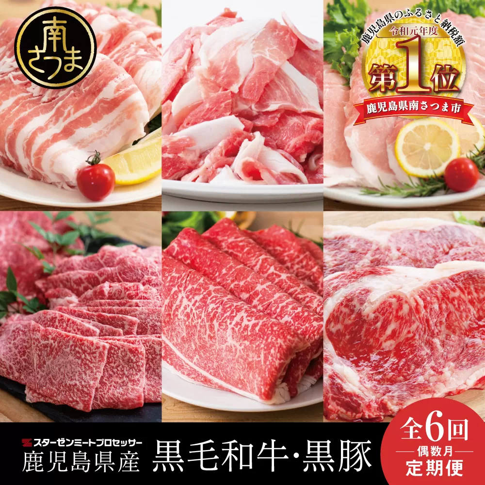 【定期便 全6回】スターゼン厳選お肉の定期便（鹿児島県産黒毛和牛・黒豚） 牛肉 豚肉 サーロイン ステーキ 切り落とし しゃぶしゃぶ 焼肉 すき焼き もも モモ バラ ロース スライス 小分け 定期便 冷凍 スターゼン 南さつま市
