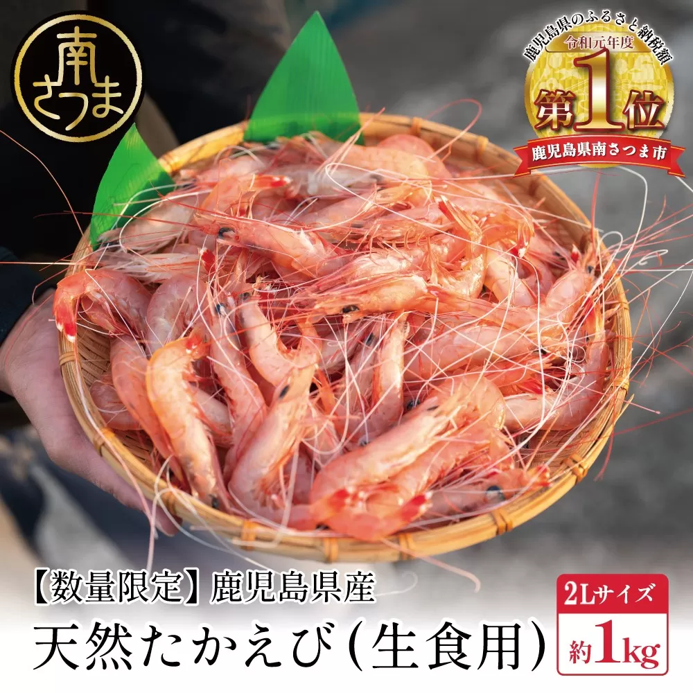 【数量限定】鹿児島県産 天然たかえび（生食用） 約1kg ［2Lサイズ］ 薩摩甘エビ ヒゲナガエビ 刺身 海鮮 海老 海鮮丼 塩焼き 冷凍 丸航丸 南さつま市 野間池