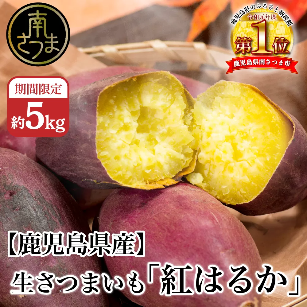 ★10月発送開始★ 鹿児島県産生さつまいも 「紅はるか」約5kg 先行受付 さつまいも 焼き芋 さつま芋 甘藷 サツマイモ べにはるか スイーツ JA 南さつま市
