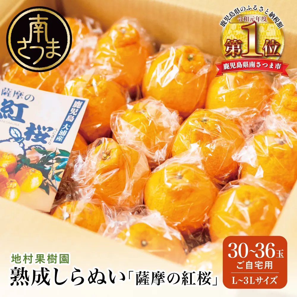【至高の熟成柑橘】「薩摩の紅桜（不知火）」ご自宅用 30～36玉［L～3Lサイズ］果物 フルーツ 熟成 柑橘 長期貯蔵 しらぬい 不知火 鹿児島 南さつま市