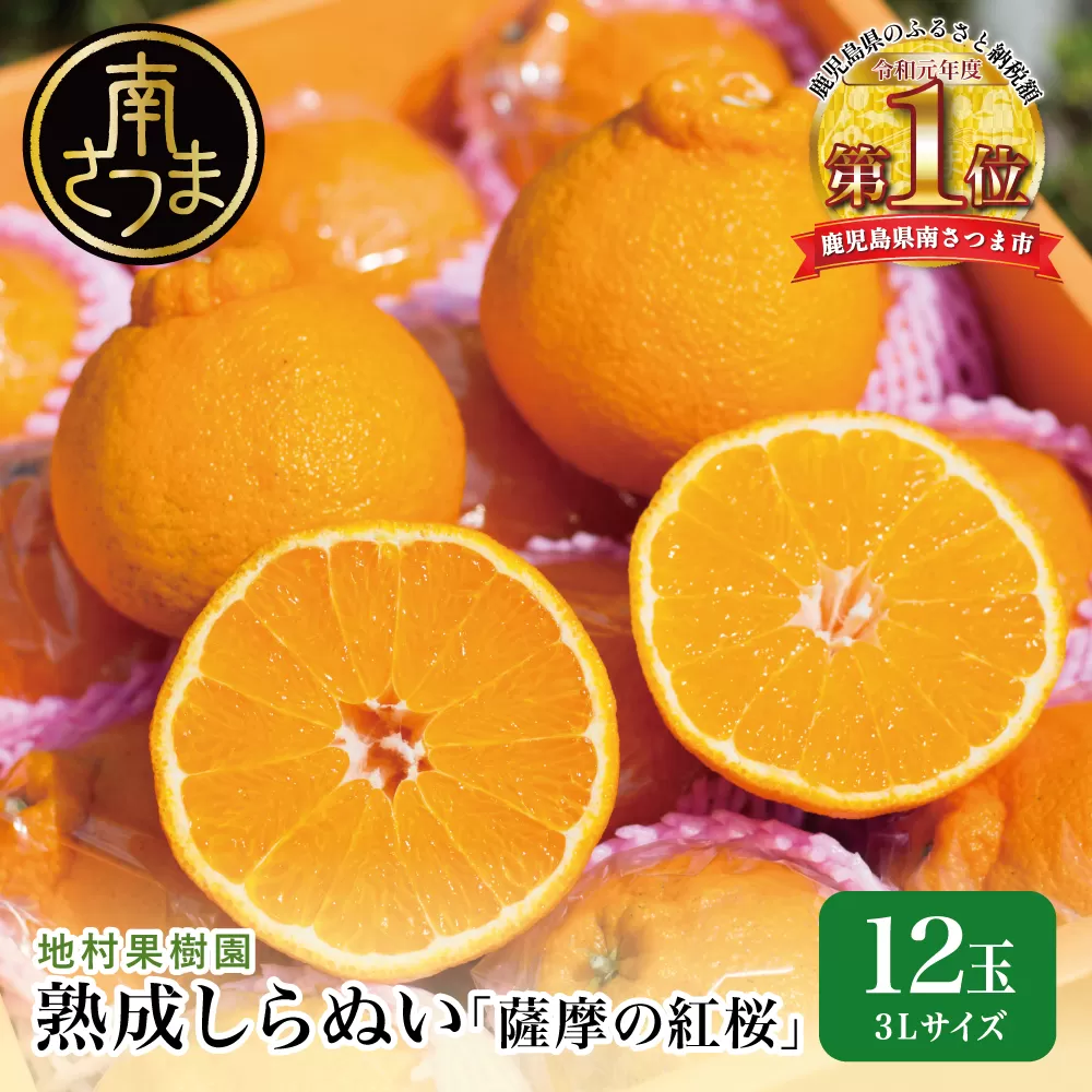 【至高の熟成柑橘】「薩摩の紅桜（不知火）」3Lサイズ12玉 果物 フルーツ 熟成 柑橘 長期貯蔵 しらぬい 不知火 鹿児島 南さつま市