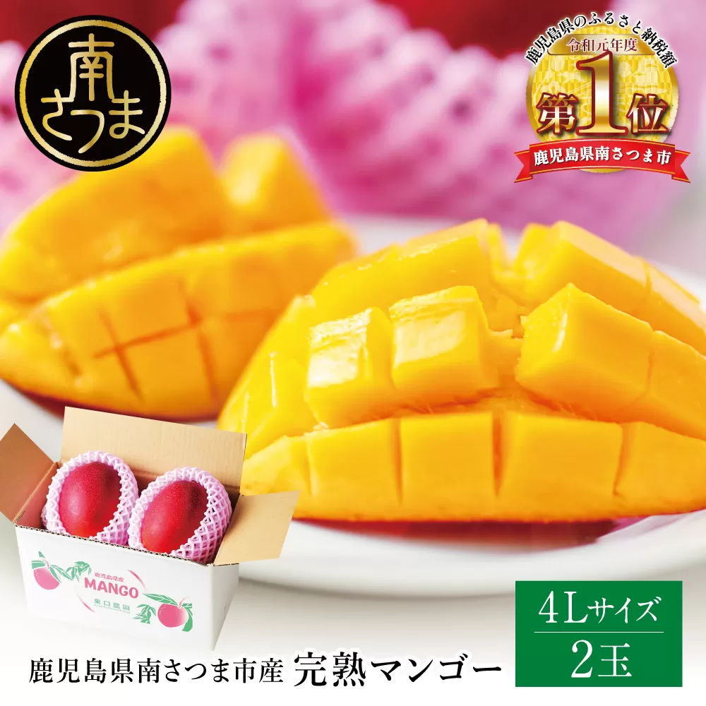 [数量・期間限定] 鹿児島県産 完熟マンゴー 4L 2玉 [2025年6月〜順次発送] 贈答品用 ギフト 果物 フルーツ 国産 鹿児島県南さつま市産 東口農園