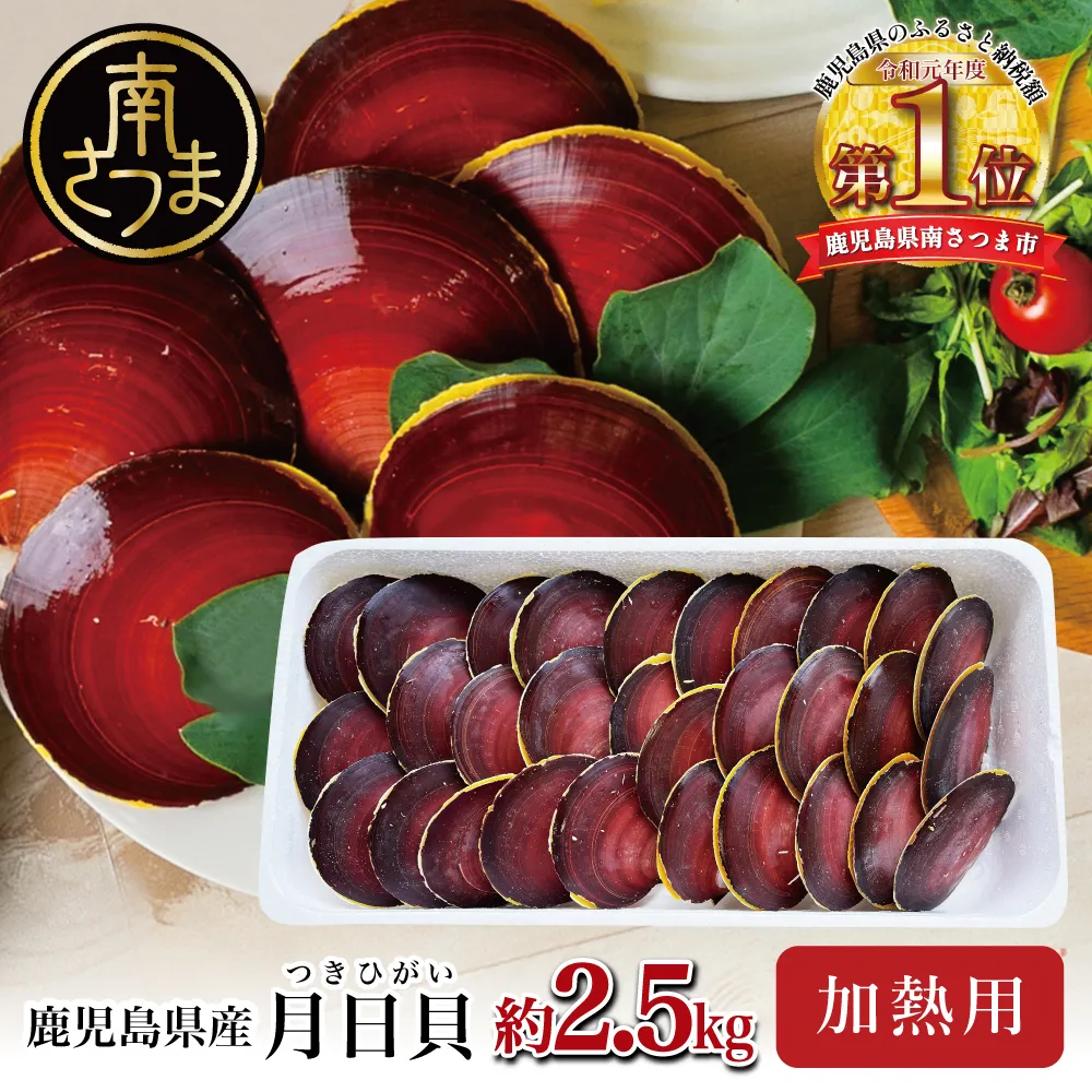 【鹿児島特産】希少 月日貝 約2.5kg （加熱調理用） ツキヒガイ つきひがい 貝 鹿児島県産 海鮮 BBQ バーベキュー アヒージョ 酒蒸し バター焼き シチュー 冷凍 南さつま市