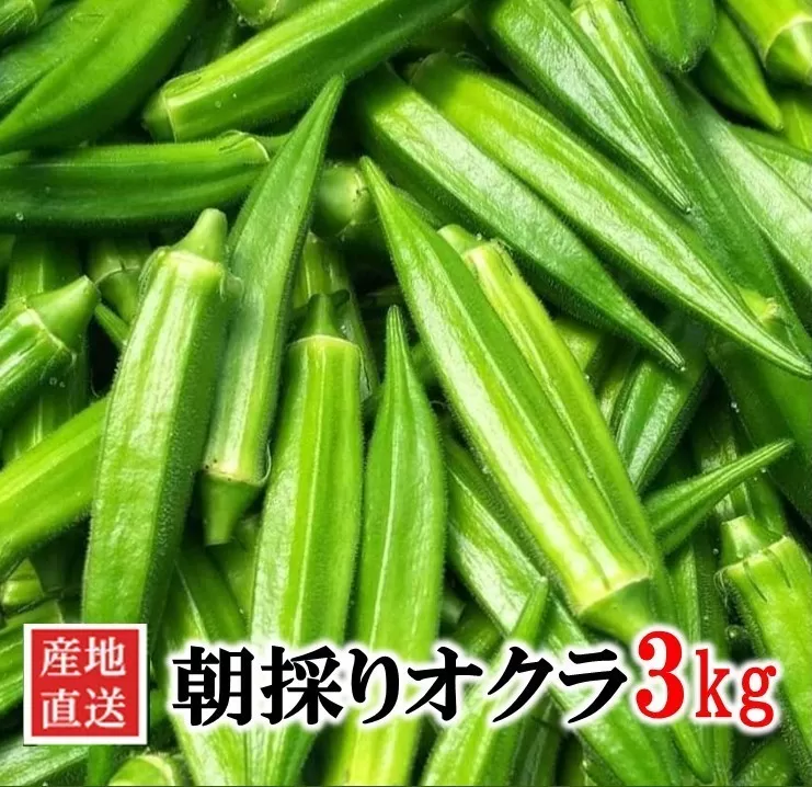 040-18 産地直送 朝採れオクラ3kg