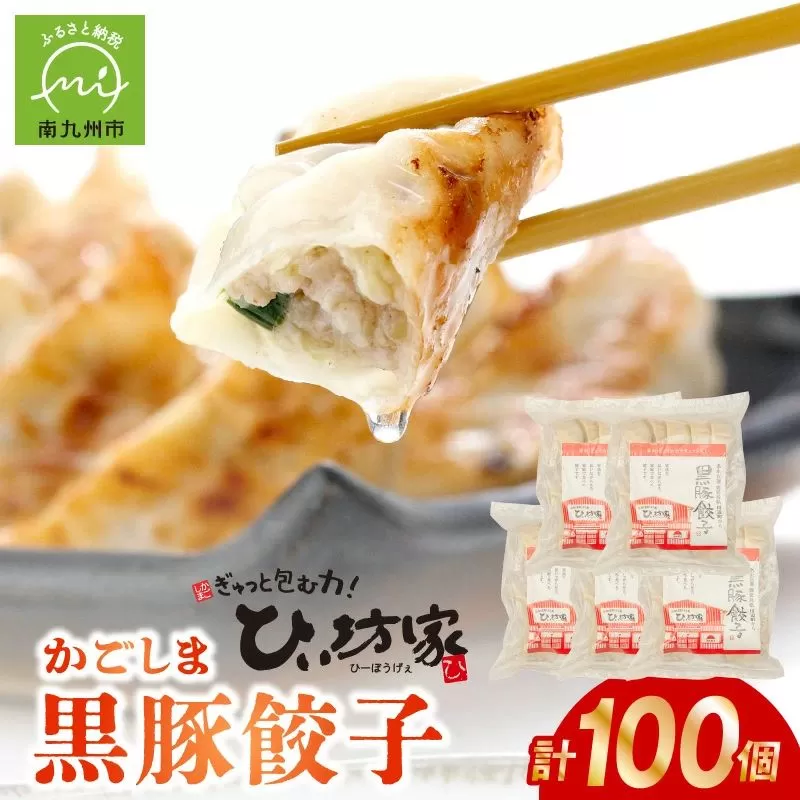 015-23 定番のかごしま黒豚餃子100個(タレ付）