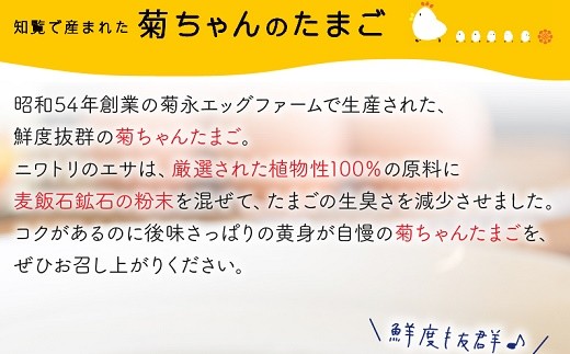 全3回】菊ちゃんのたまごづくし定期便 042-15｜南九州市｜鹿児島