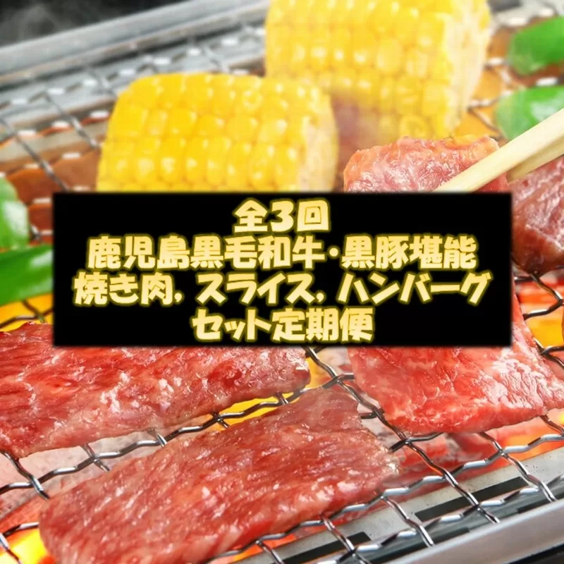 【全3回】鹿児島黒毛和牛・黒豚堪能焼き肉、スライス、ハンバーグセット定期便 084-16