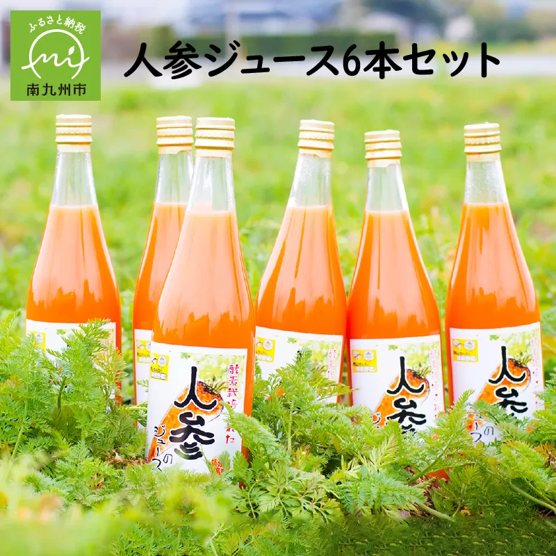004-01 酵素栽培人参ジュース720ml×6本