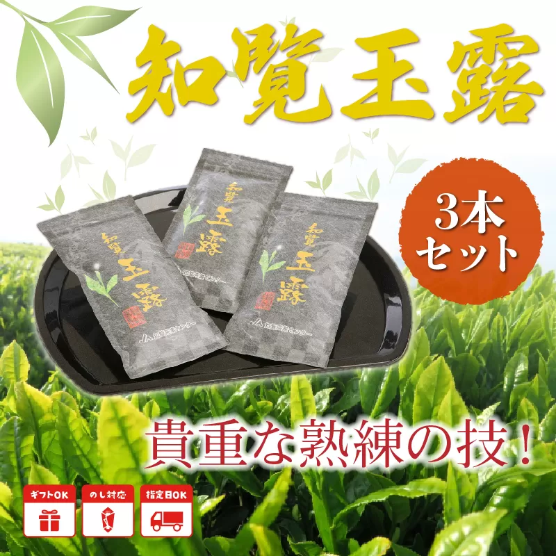 051-19 知覧玉露3本セット