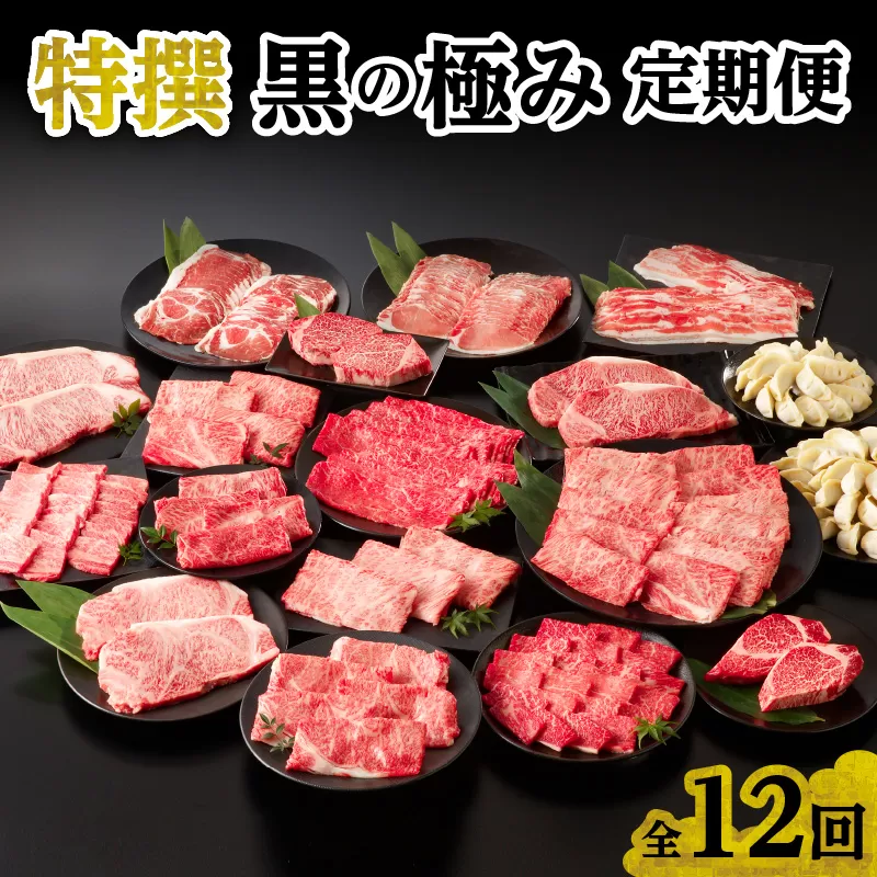 【全12回】特撰 黒の極み定期便 KURO-SP