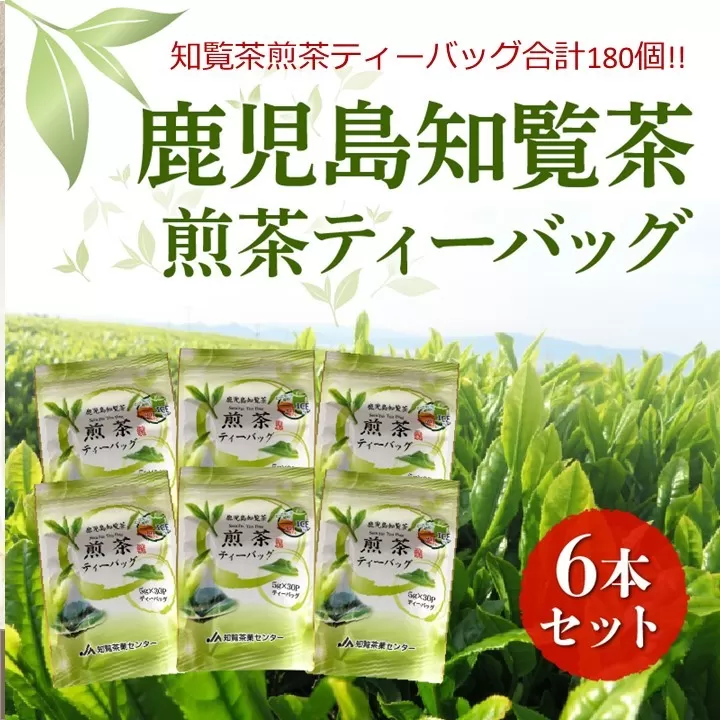 051-22 鹿児島知覧茶煎茶ティーバッグ6本セット
