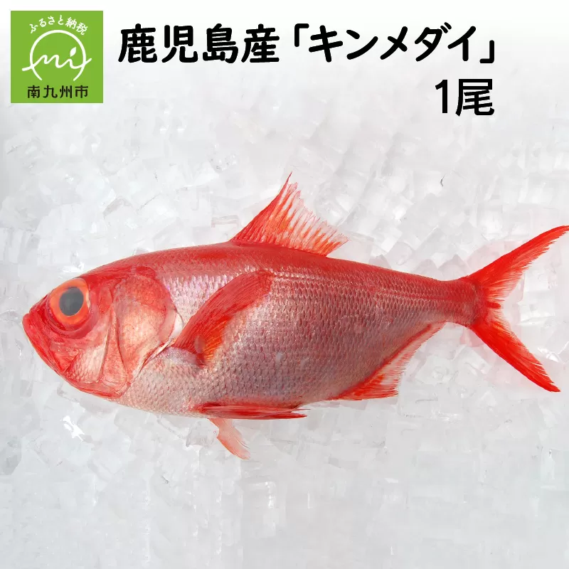 008-72 鹿児島産キンメダイ1尾(1~1.2kg)