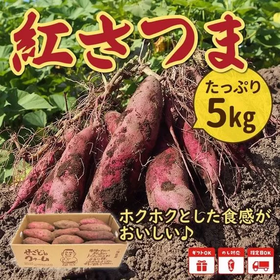 040-09 さつまいも「紅さつま」5kg