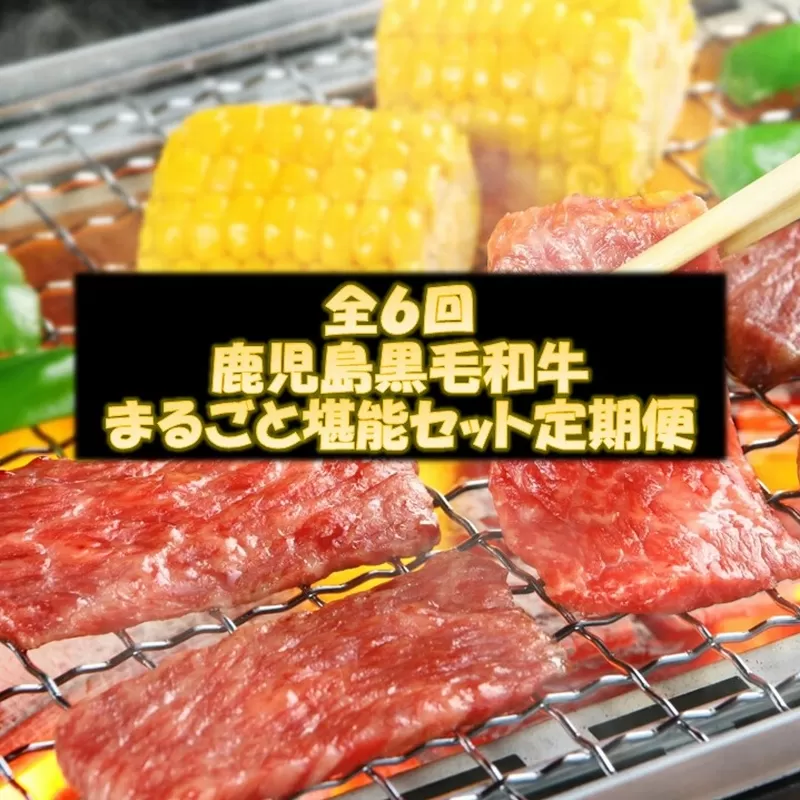 【全6回】鹿児島黒毛和牛まるごと堪能セット定期便 084-15