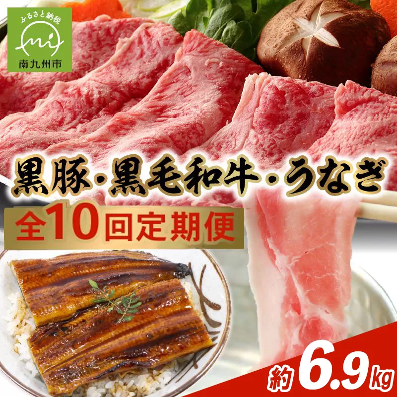 【全10回】鹿児島自慢の豚・牛・うなぎ!10回満足定期便 027-40