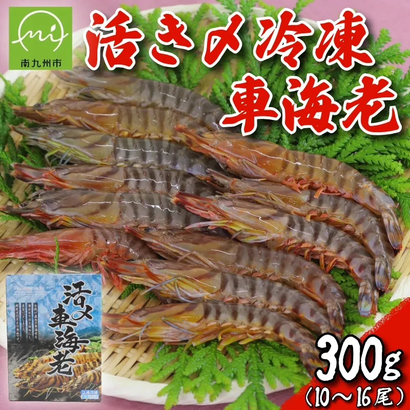 016-05 活き〆冷凍車海老300g(10尾～16尾)