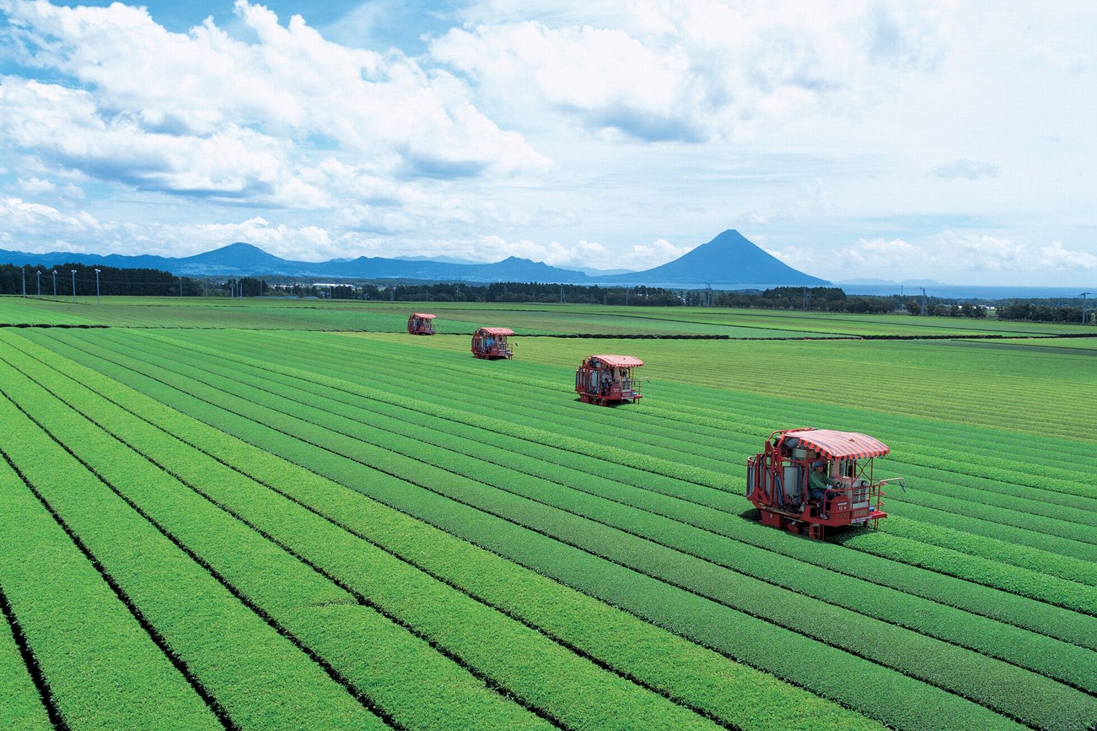 鹿児島県南九州市